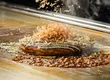 お好み焼き 創作鉄板焼 こむぎは世界を救う 1